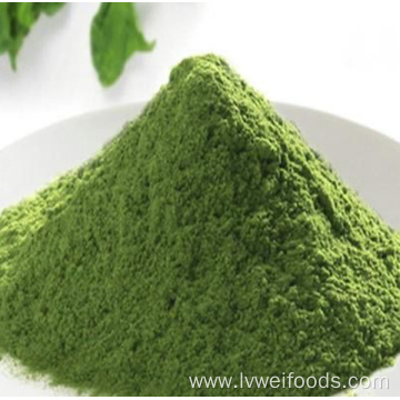 High purity dehydrated spinach powder